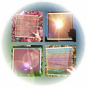Organic Flexible Solar Cells