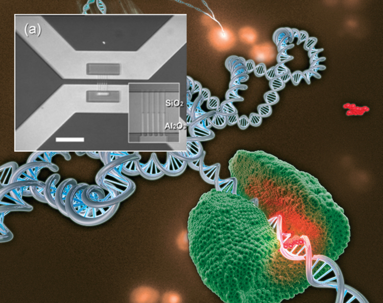Bio-Nanotechnology and Nanofluidics