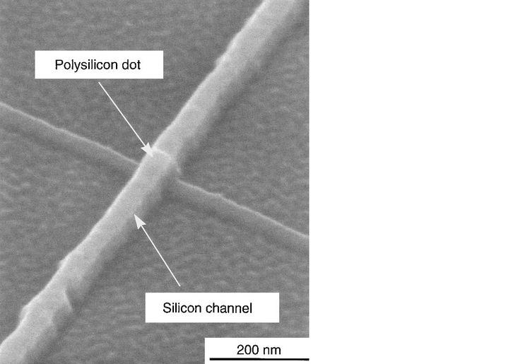 Si Nanoelectronics